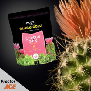 Cactus_Sun_Gro