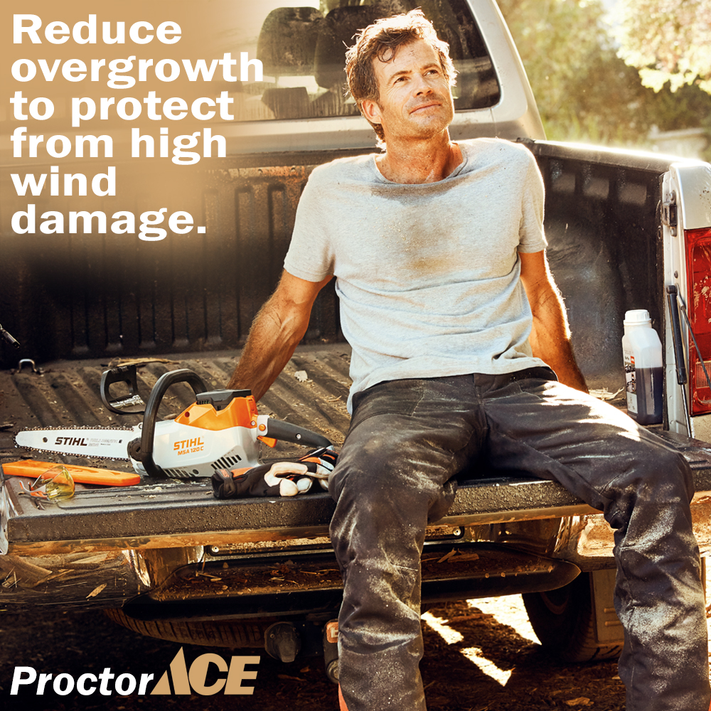 Electric Stihl Chainsaw Jacksonville Beach Florida