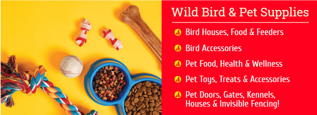 Proctor Ace - Department, Wild Bird Food And Pet Supplies