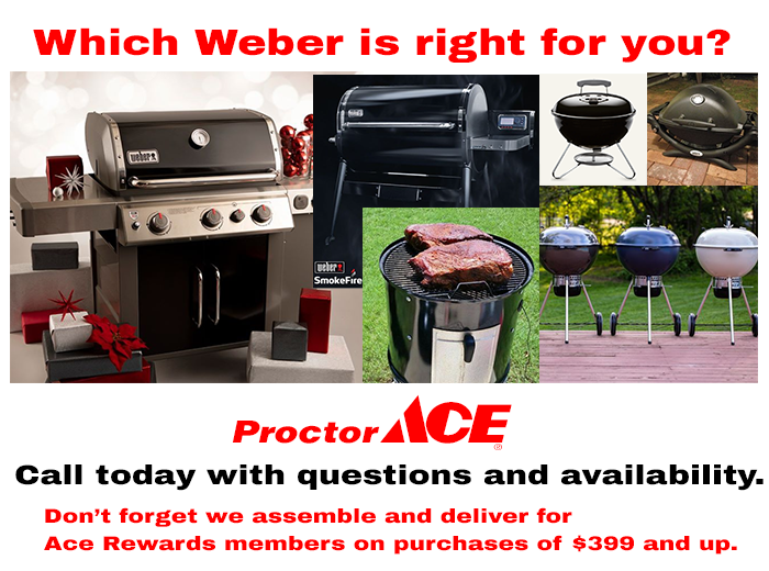 Which Weber is right for you jacksonville florida