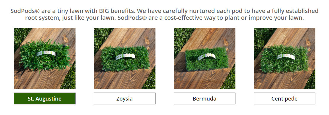 sod plugs jacksonville florida