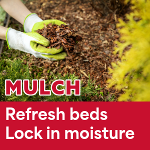 mulch top soil potting soil jacksonville fl
