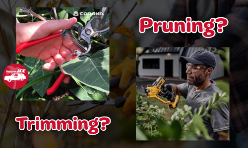 Pruning Tools Proctor Ace Ponte Vedra Fl