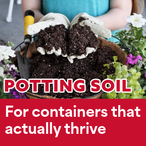 mulch top soil potting soil jacksonville fl